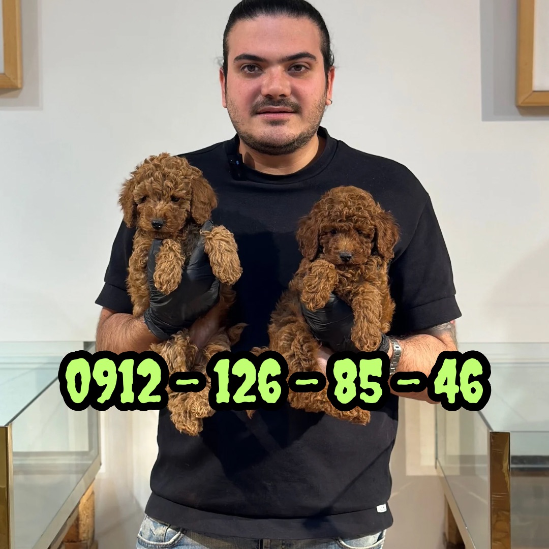 nipetlovers 09121268546